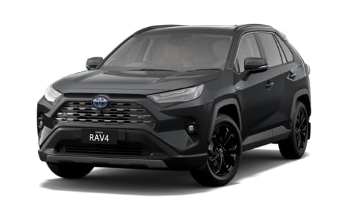 RAV4 Cruiser Image
