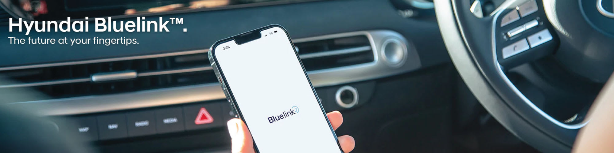 Bluelink Banner