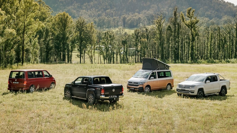 Volkswagen vans & utes parked in field