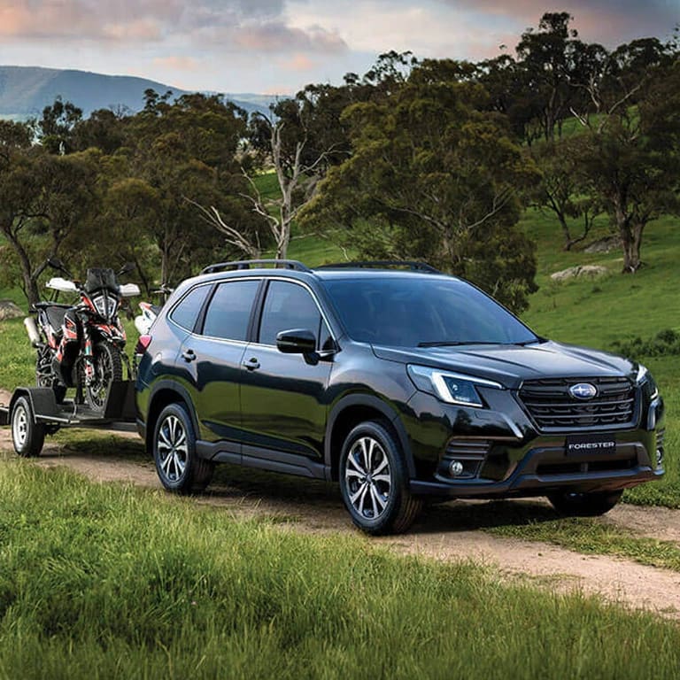 Transfer Warranty