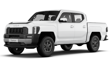 Tasman Dual Cab Pick-Up SX Image