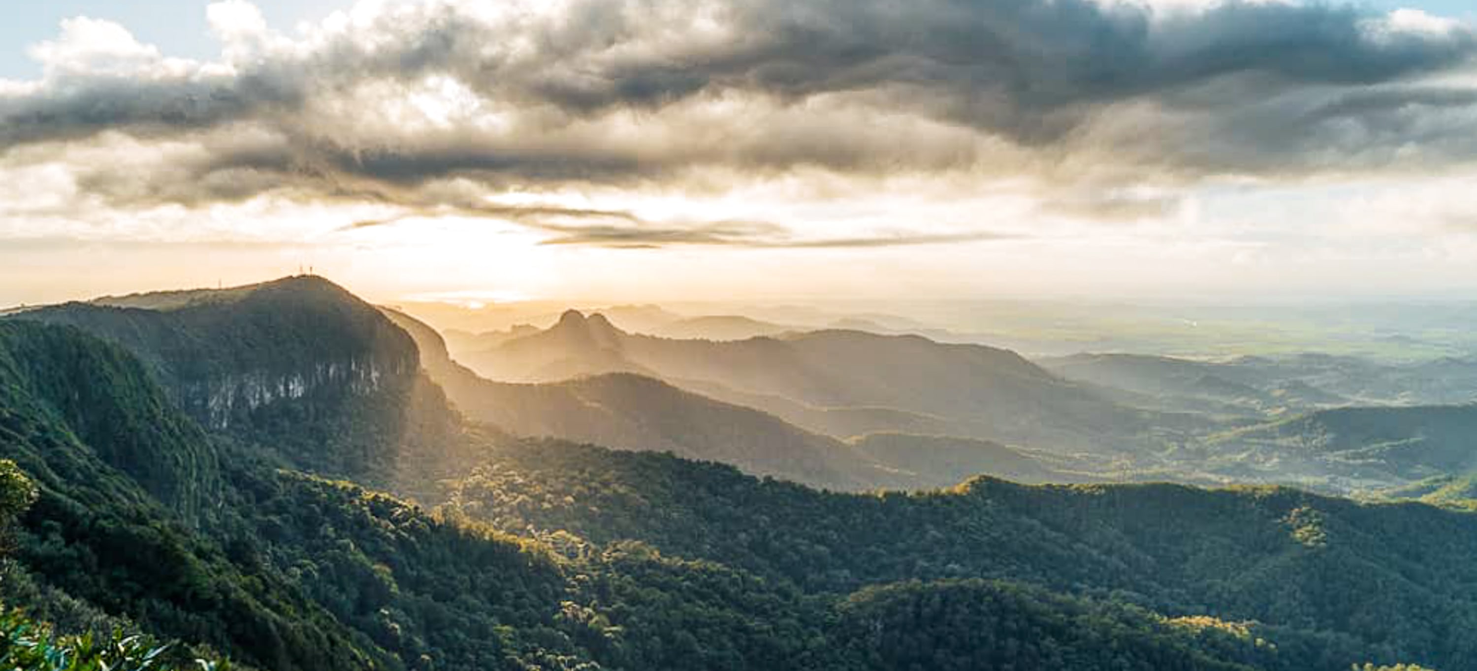 Springbrook Poster A Nature Escape on Your Doorstep: Springbrook National Park | Motorama