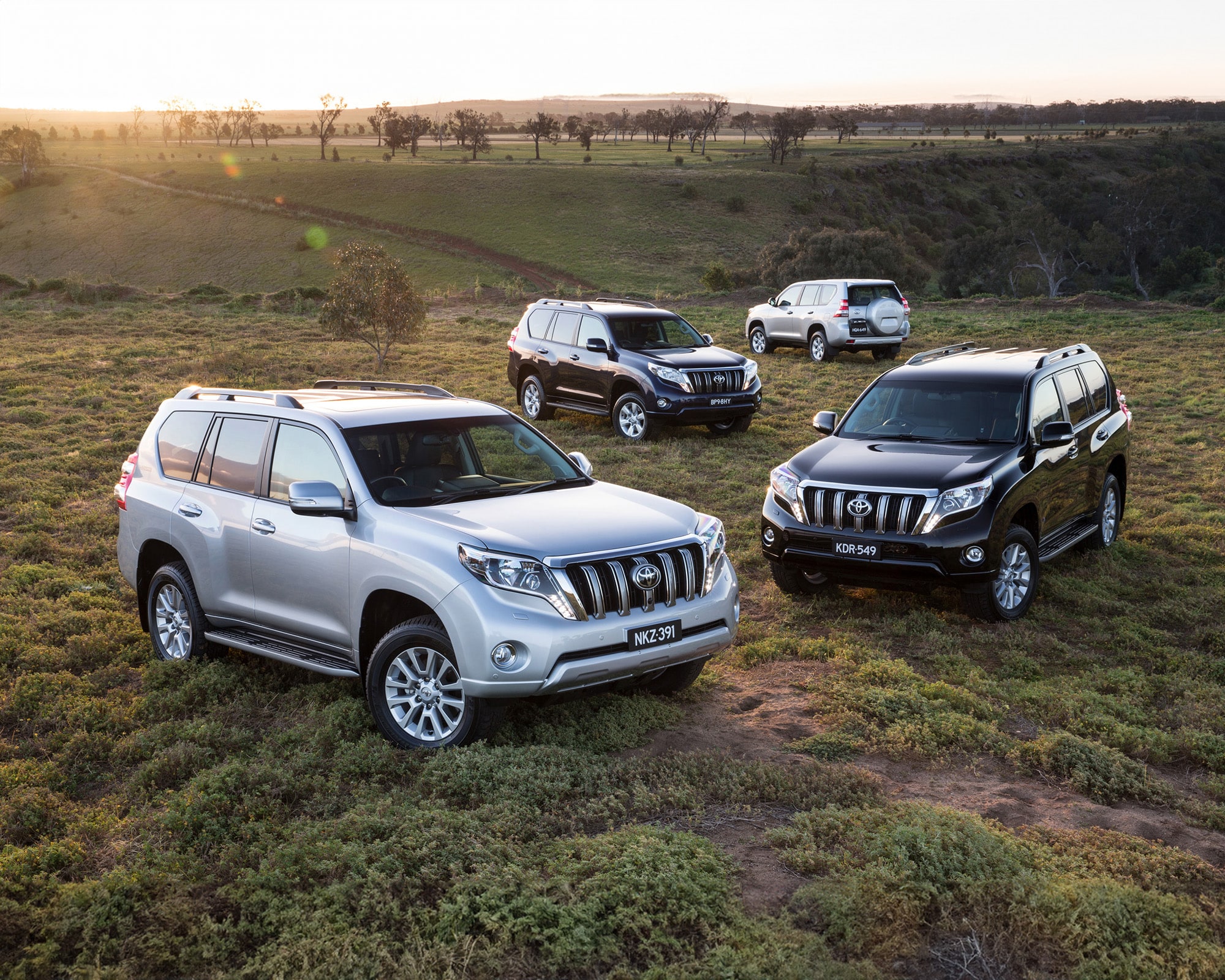 Pre-Owned Prado Range Image