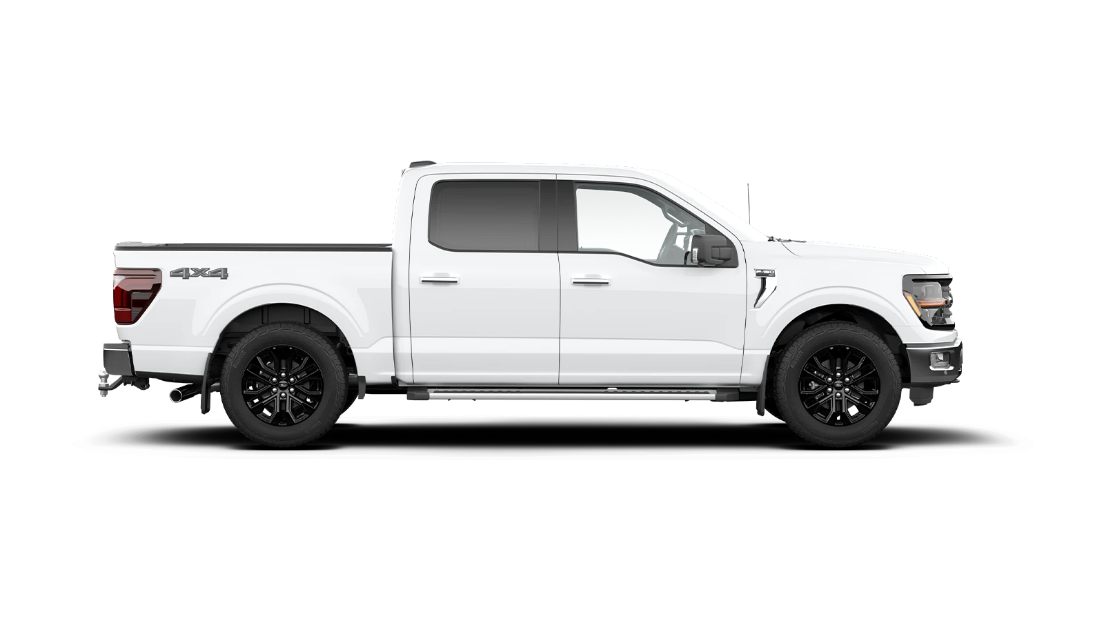 F-150 XLT 2025MY Black Edition Image