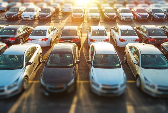 Row of vehicles in a dealership showroom
