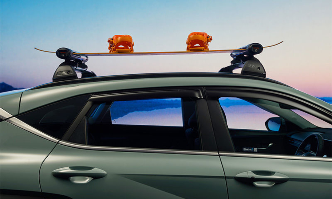 Ski & snowboard carrier