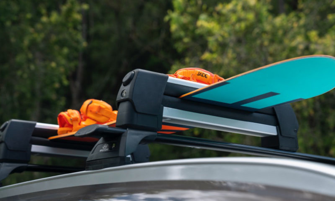 Ski & snowboard carrier