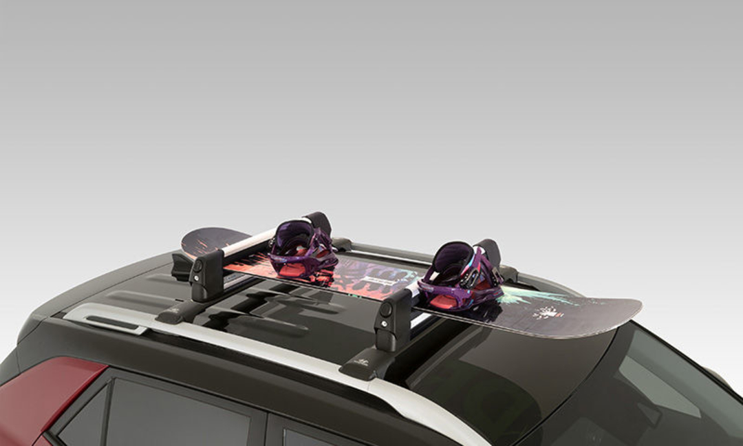 Ski & snowboard carrier