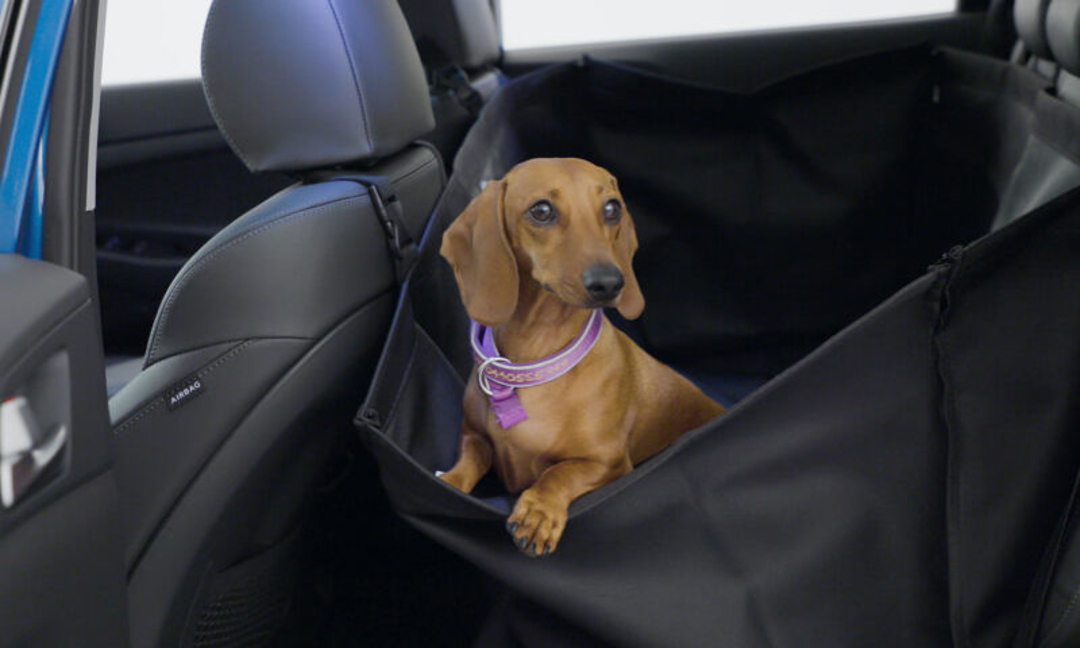 Rear seat pet cover