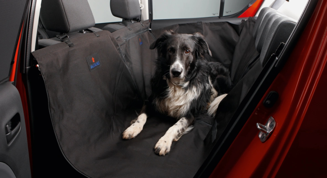 Rear Seat Protective Cover