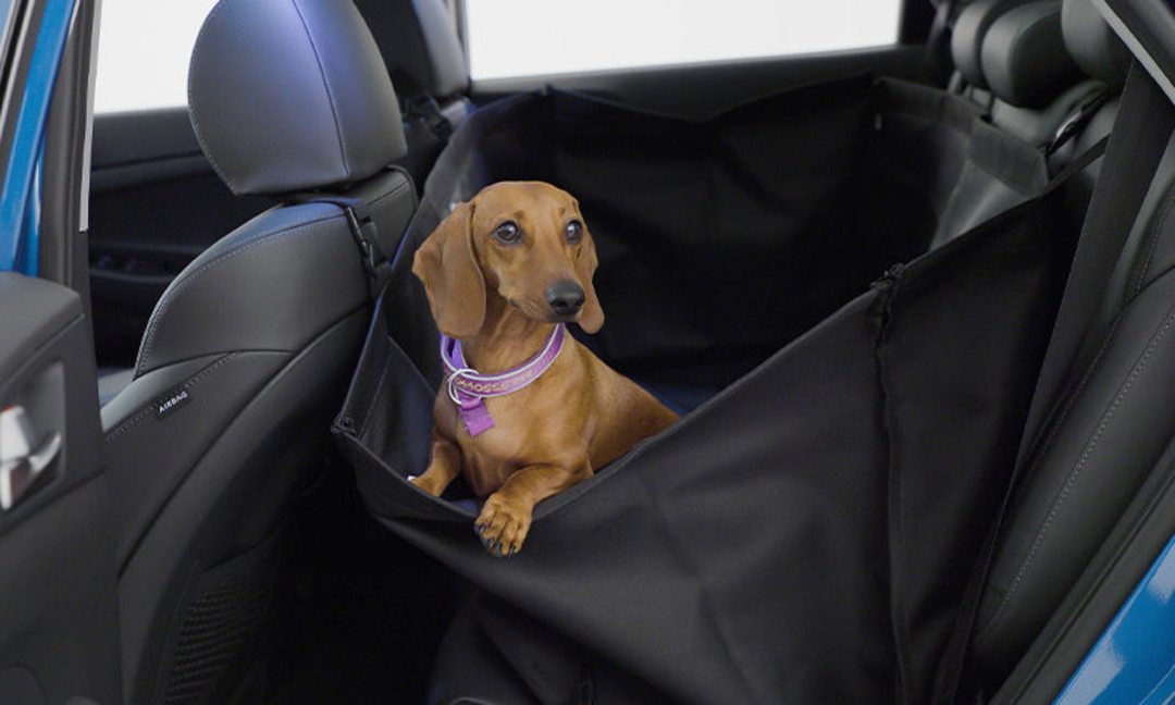 Rear seat pet cover