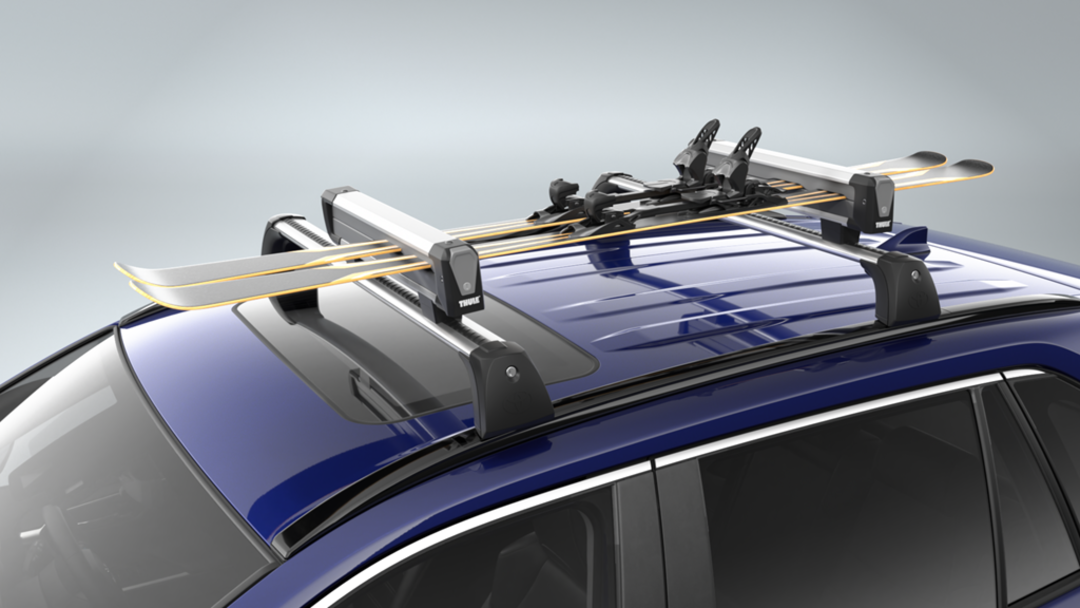 Ski and Snowboard Carrier