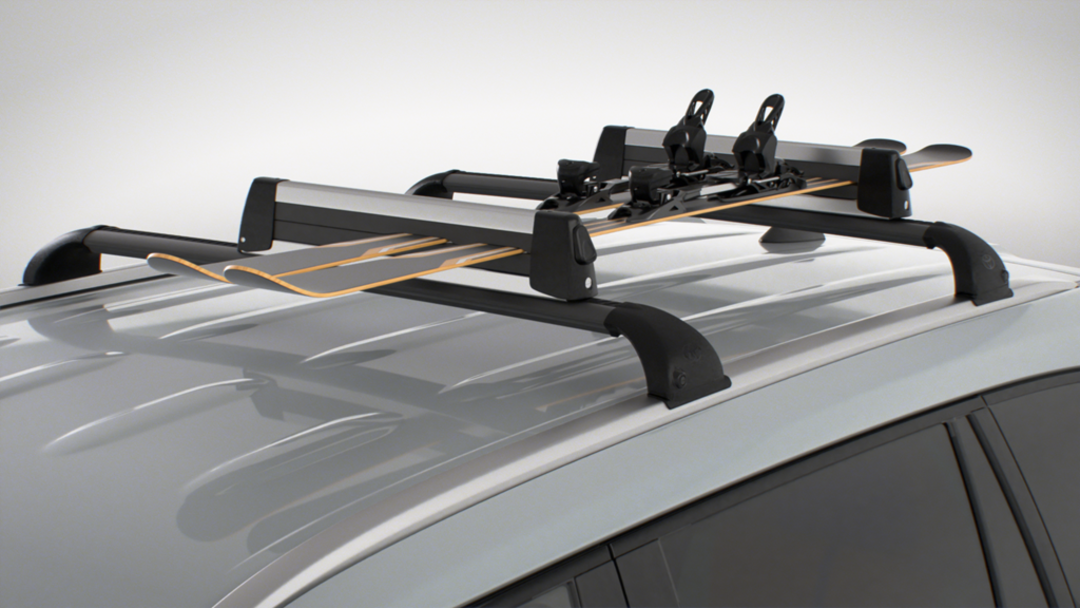 Ski and Snowboard Carrier