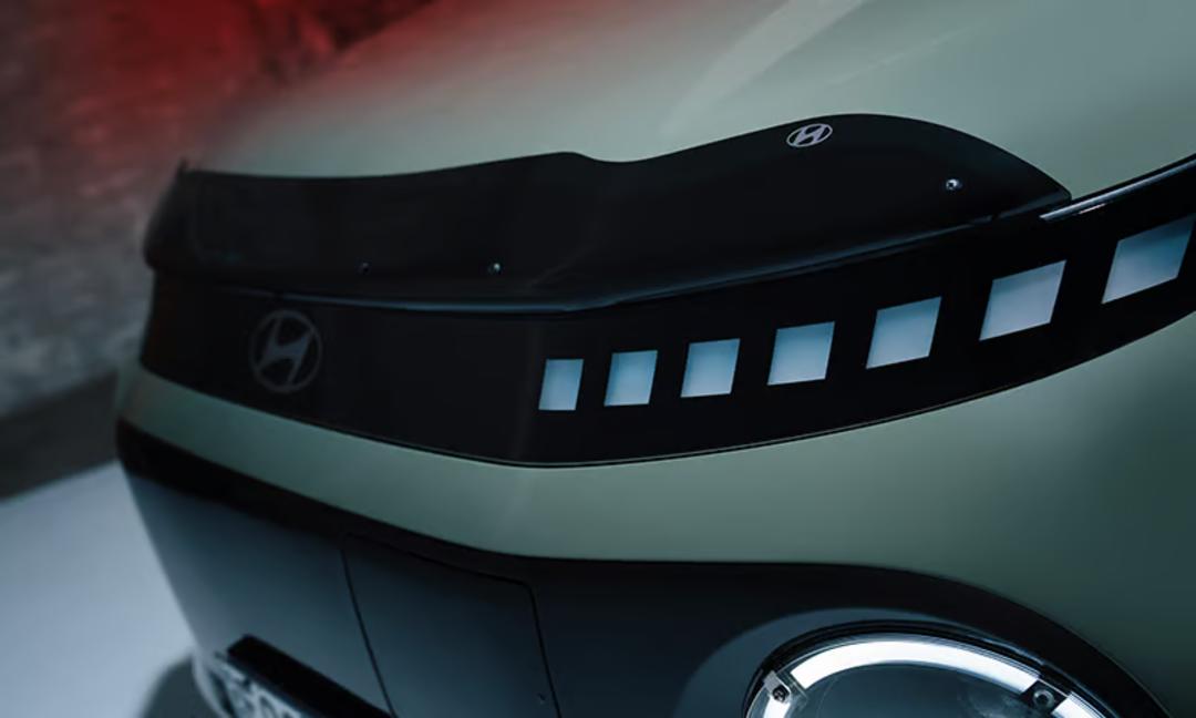 Bonnet protector