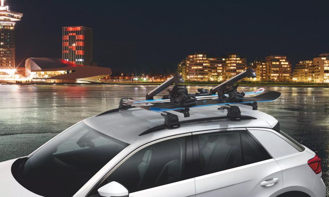 Ski and Snowboard Carrier