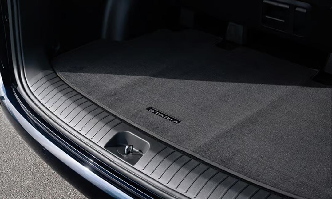 Carpet cargo mat