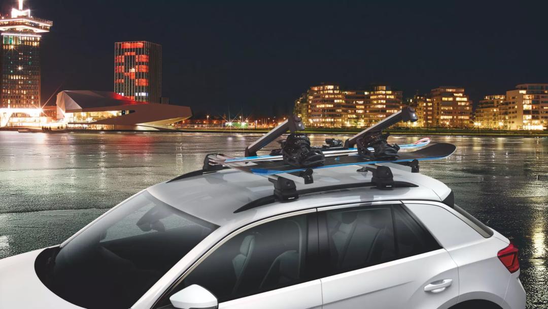 Ski and snowboard carrier