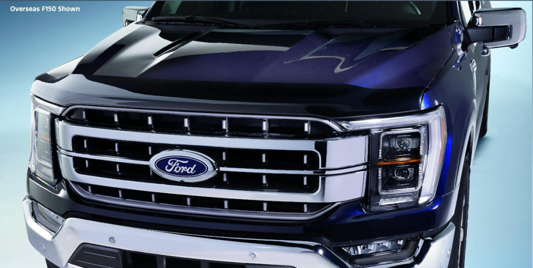 Bonnet Protector