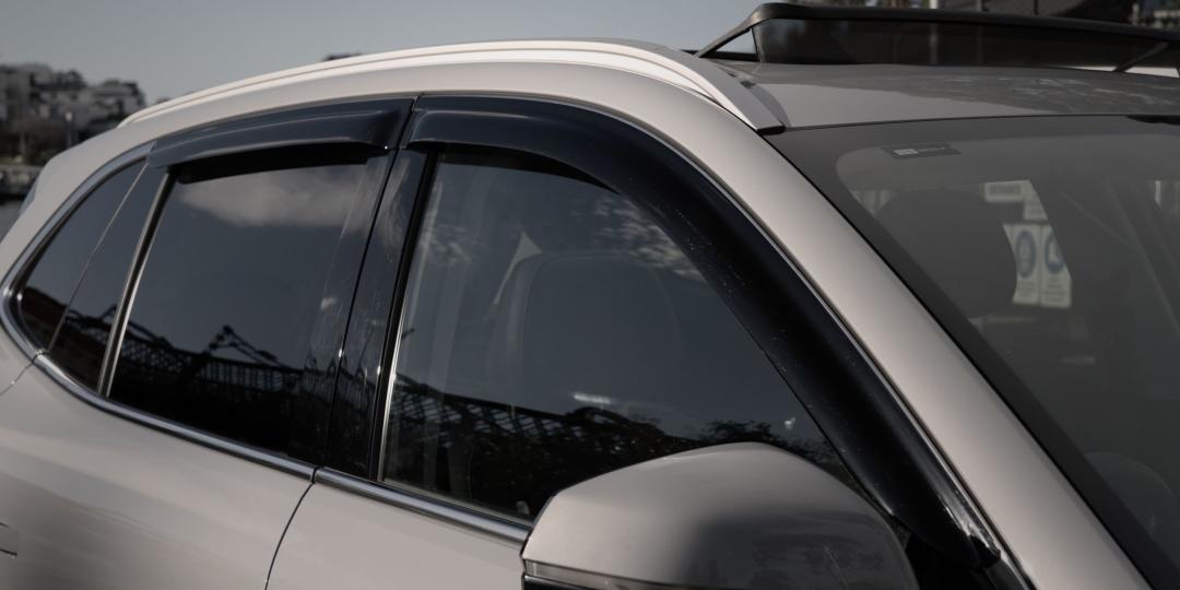 Slimline Door Visor Set (Smoked) (Model: EX5 & Starray EM-i)