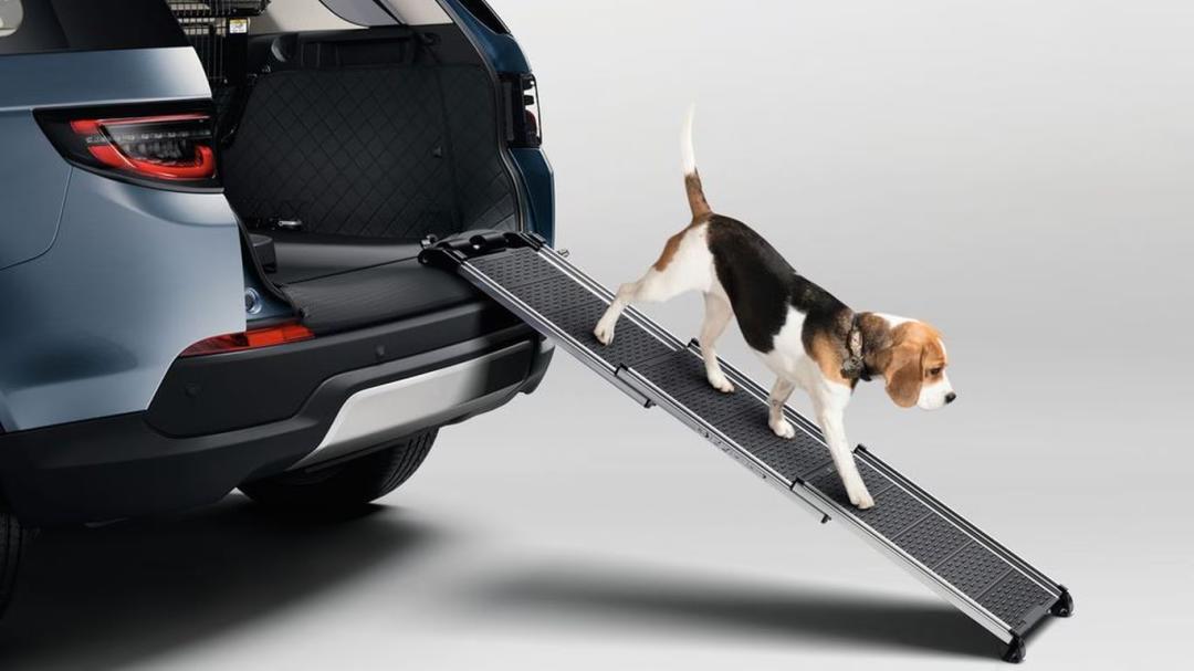 Pet Access Ramp
