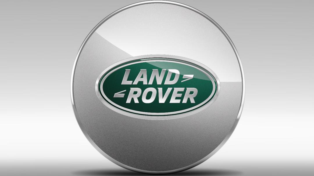 Wheel Centre Cap, Silver finish