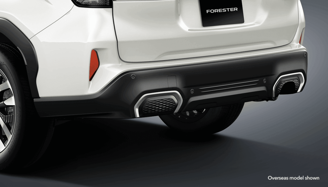 Rear Bumper Garnish - Silver