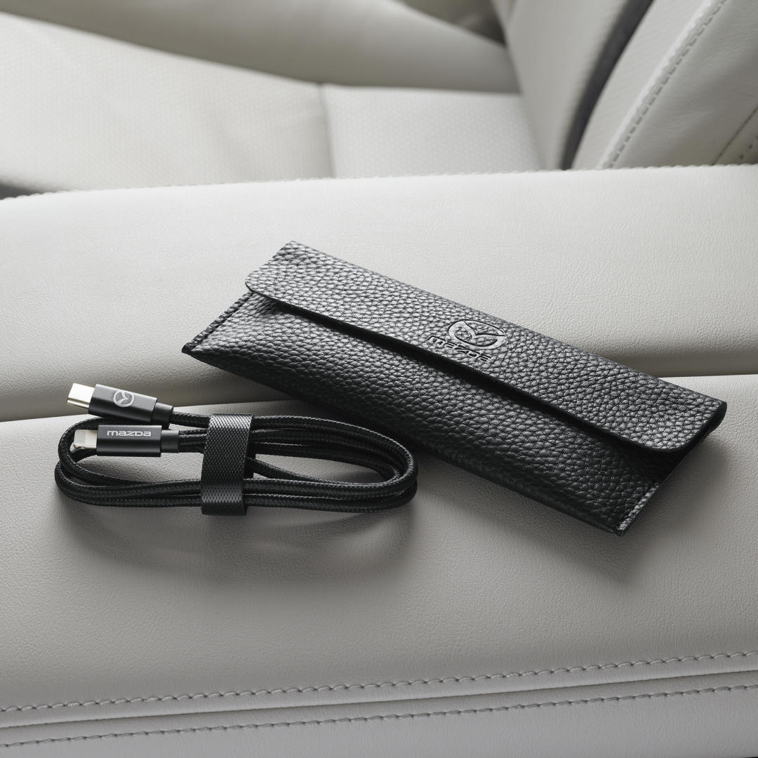 USB C to Lightning cable