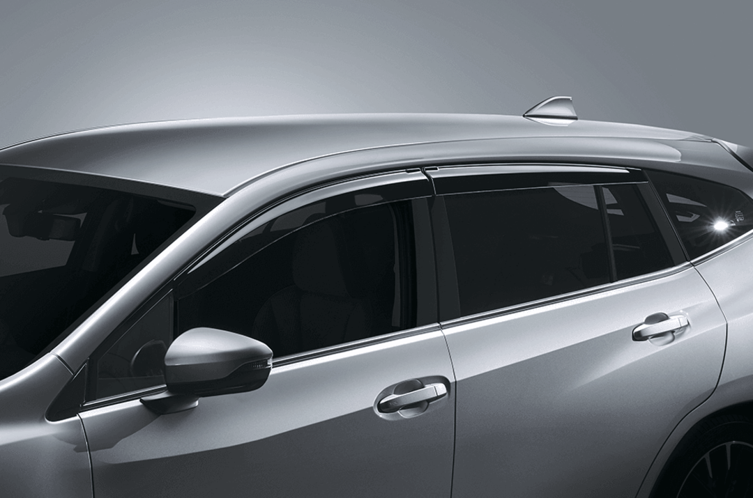 Door Visor WGN