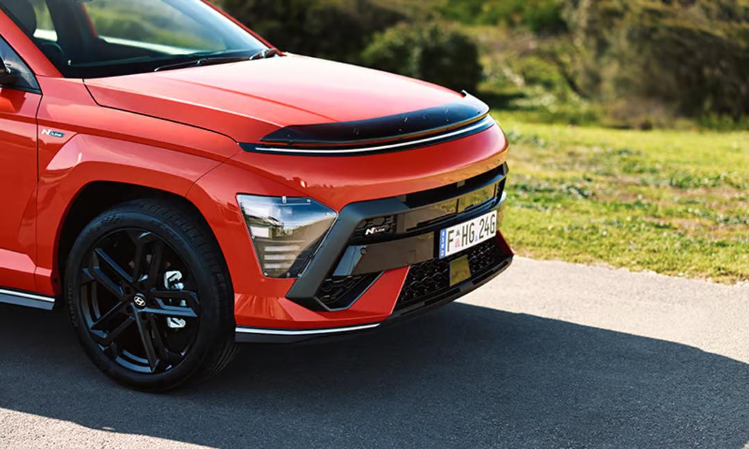 Bonnet protector | tinted