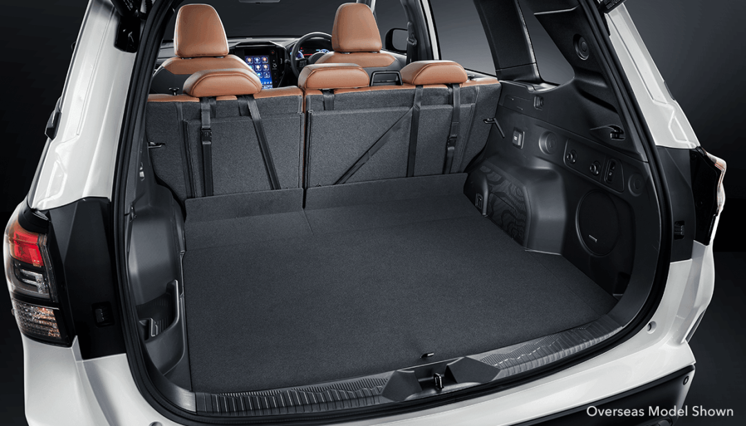 Rear Seatback Extension