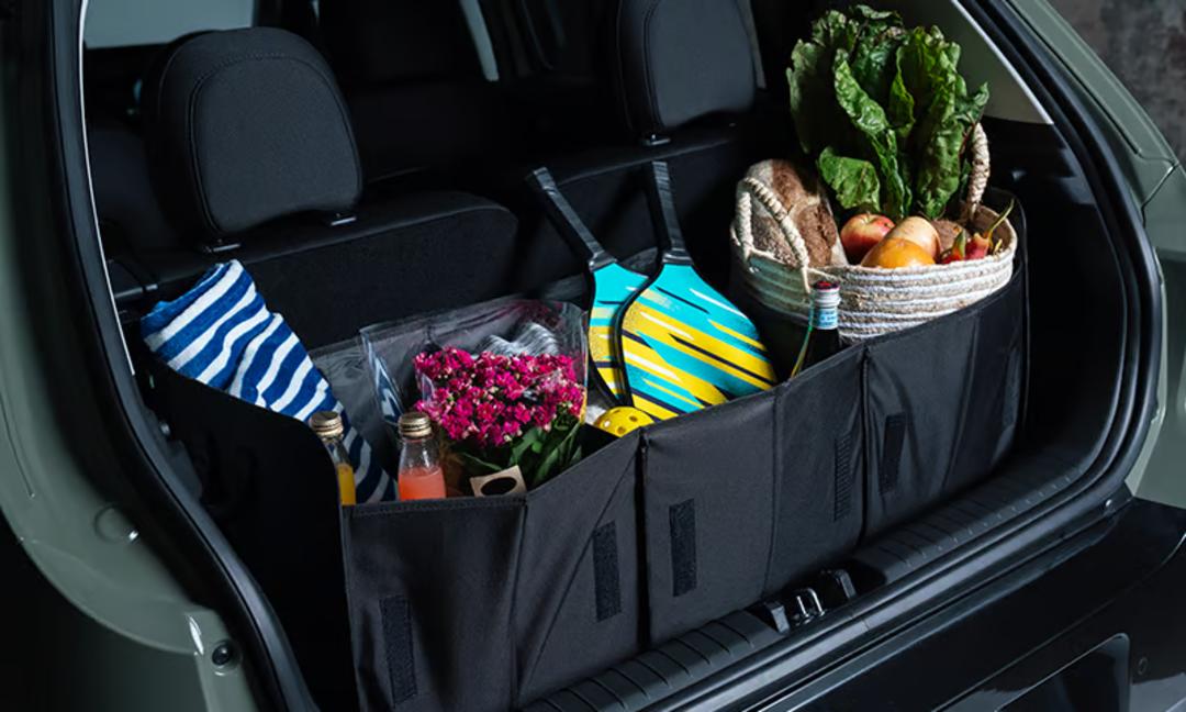 Cargo organiser