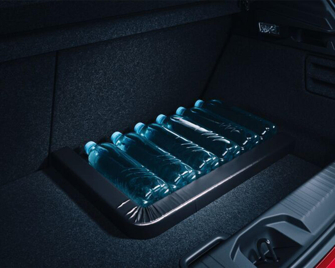 Travel Boot Organiser