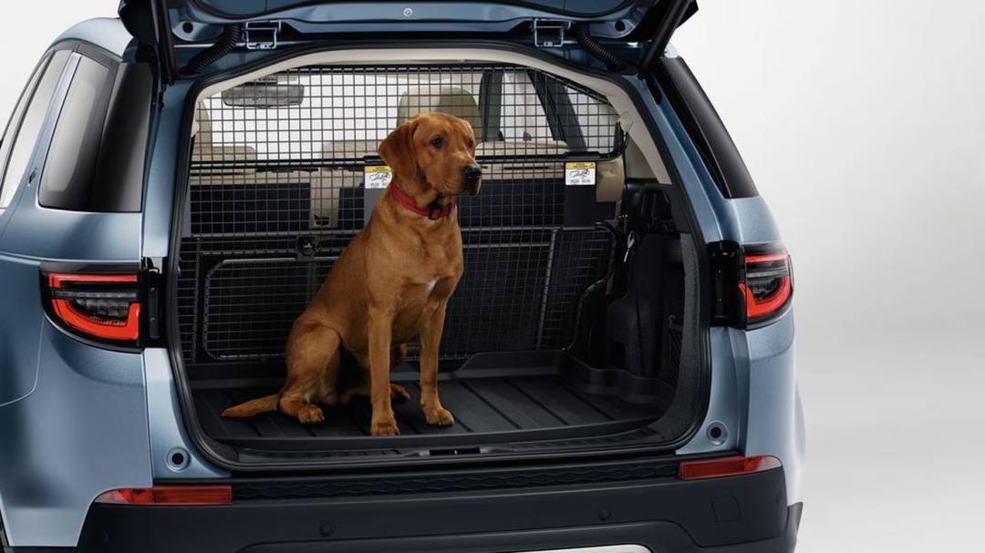 Loadspace Liner Tray - Luggage Divider