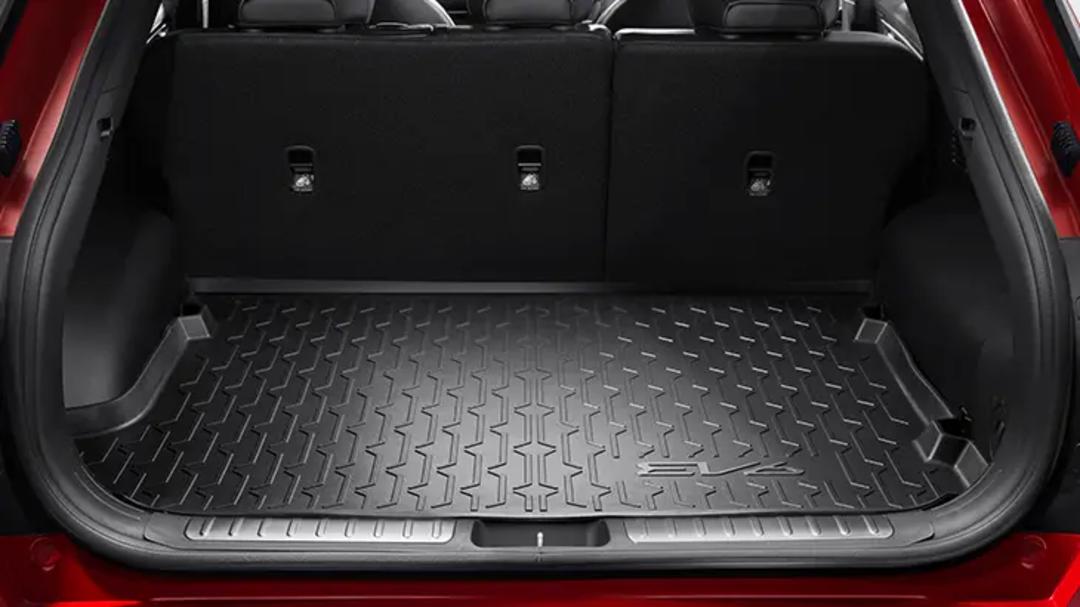 Cargo Liner