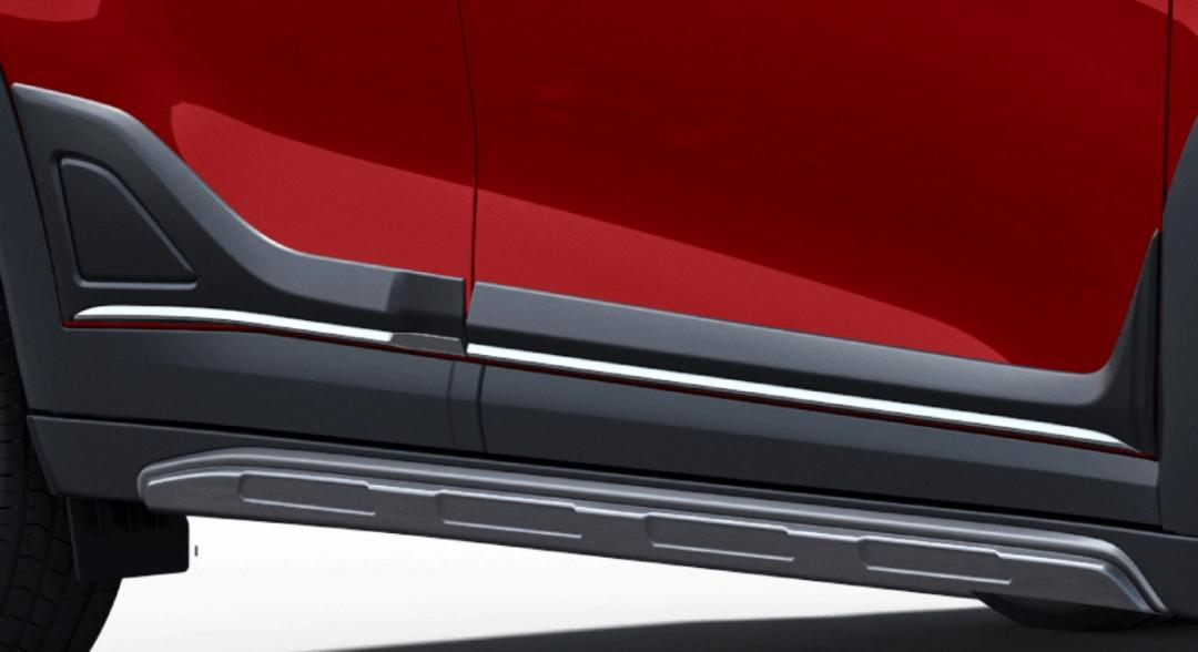 Body Side Moulding - Garnish Insert