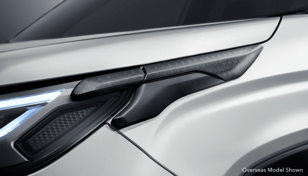 Lamp Protector Set (F&R)