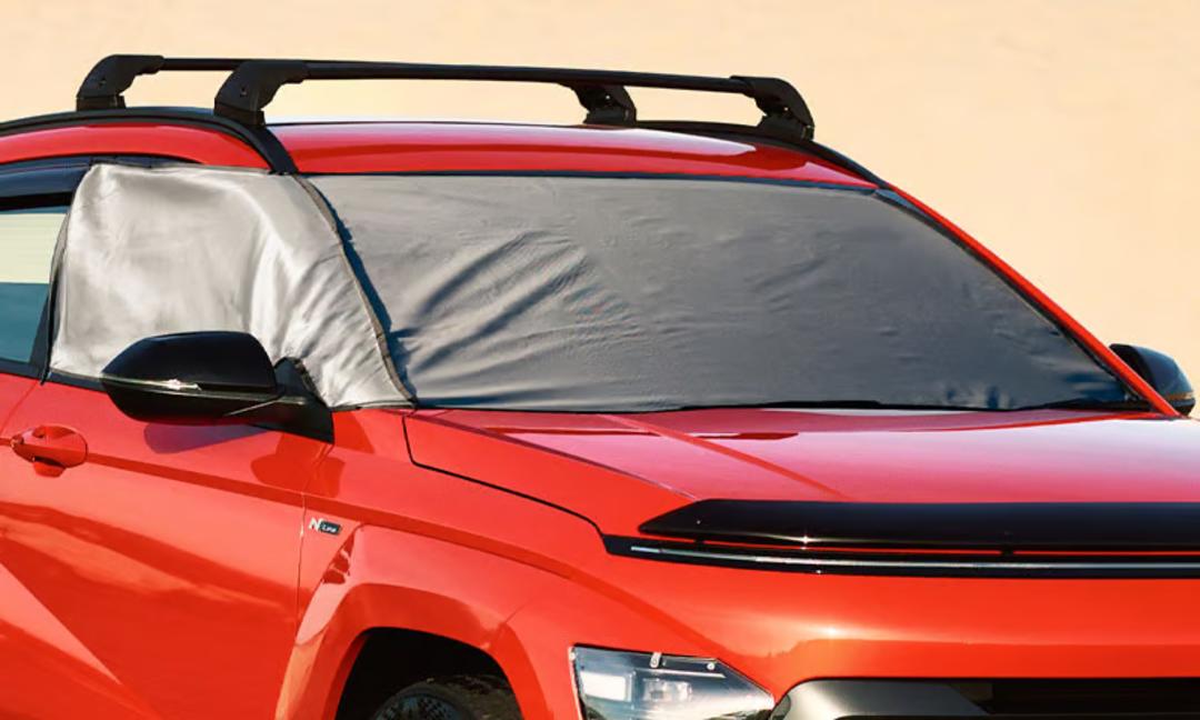 Ice/sun shade