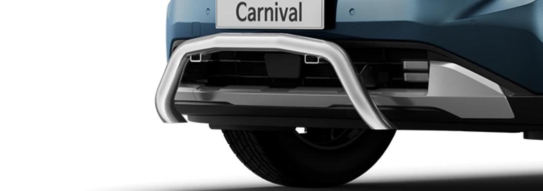 Nudge Bar - Polished