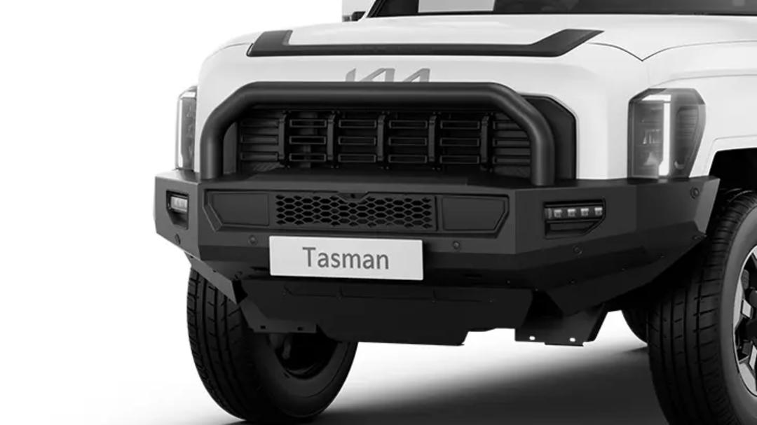 Bull Bar - Single Hoop