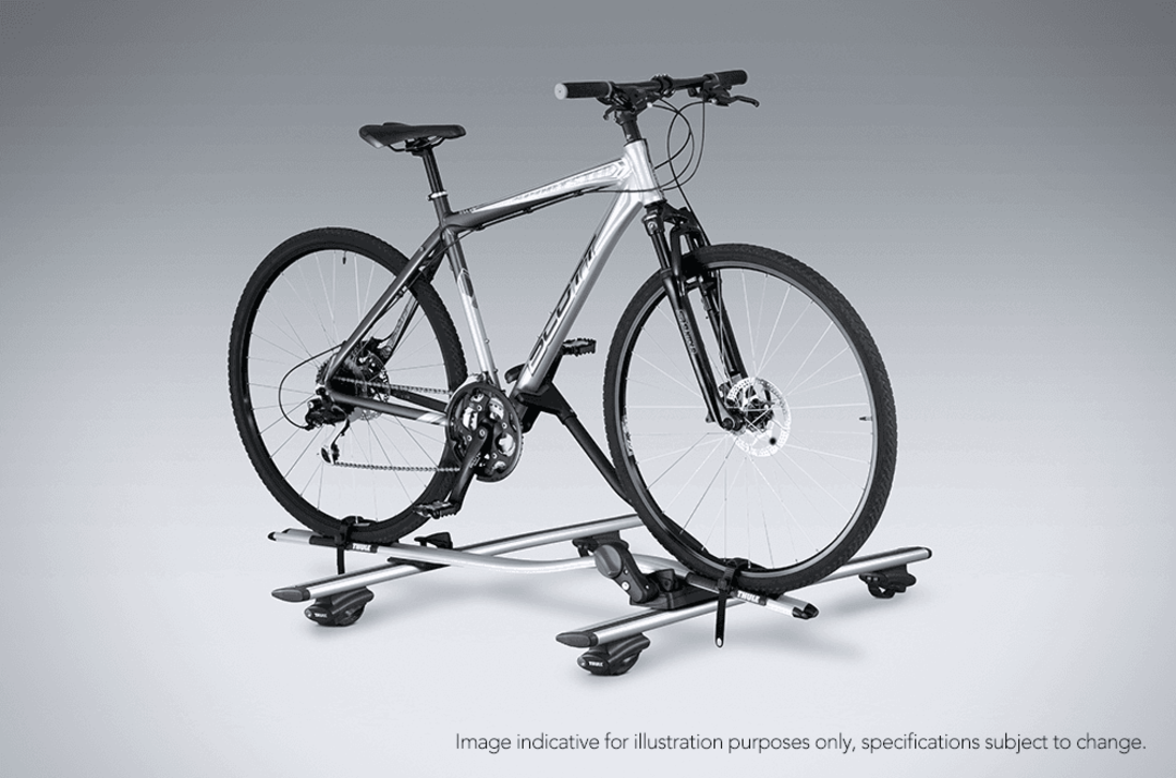 Bicycle Holder - Silver (ProRide)
