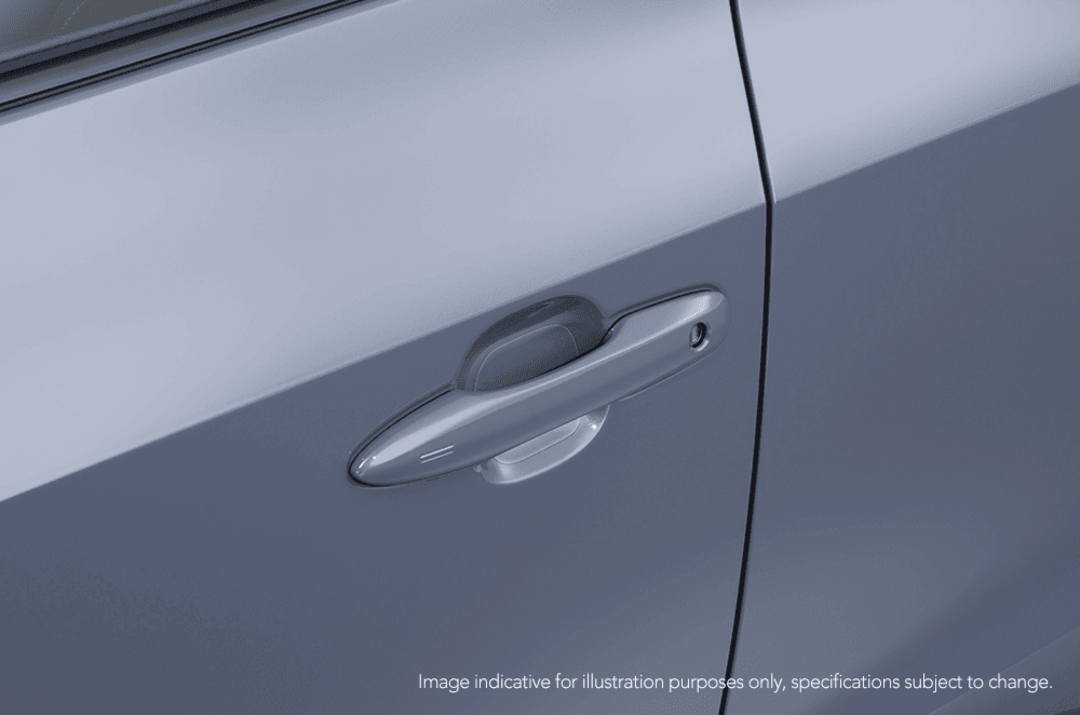 Door Handle Protection Film (set of 2)