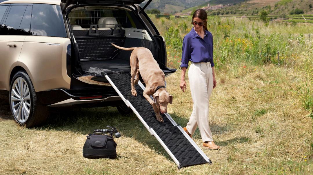 Pet Access Ramp