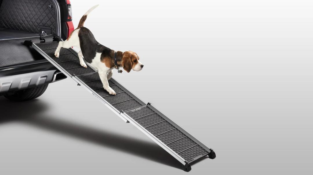 Pet Access Ramp