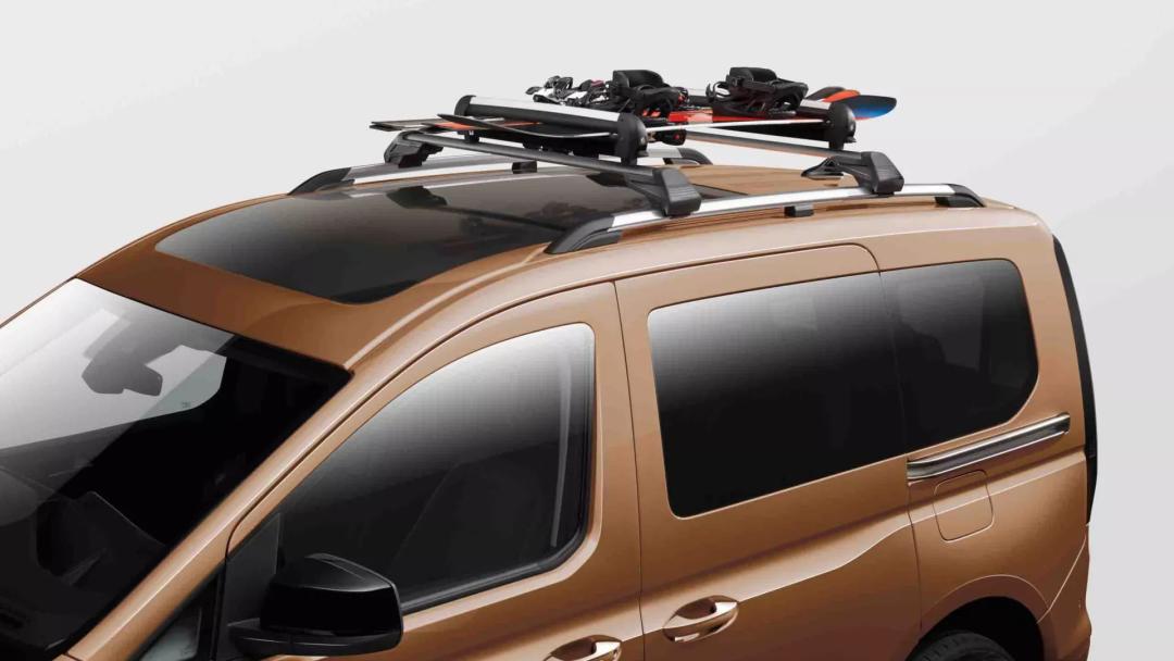 Ski and snowboard carrier