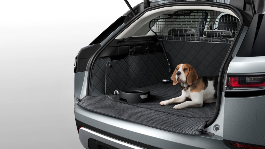 Luggage Partition - Half Height, 21MY onwards
