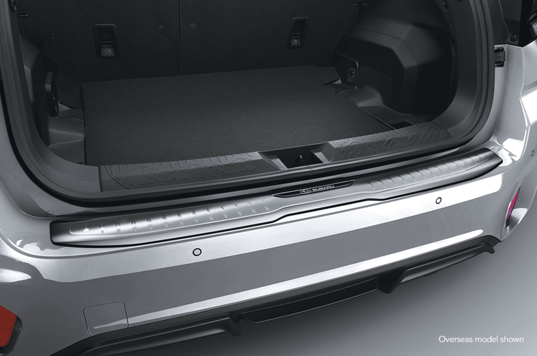 Cargo Step Panel (Stainless)