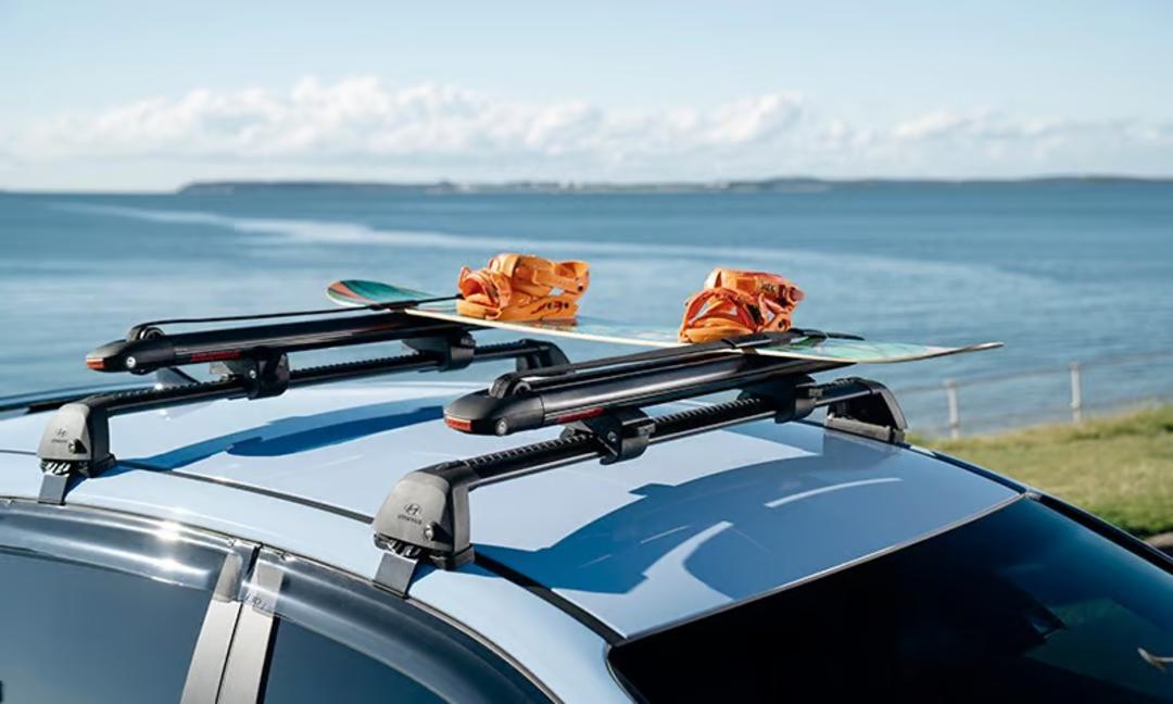 Ski & snowboard carrier