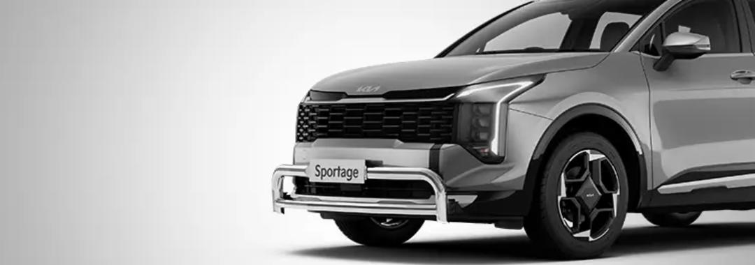 Nudge Bar - Polished (SX & S)