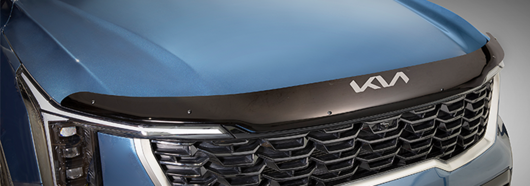 Bonnet Protector - Dark Tinted