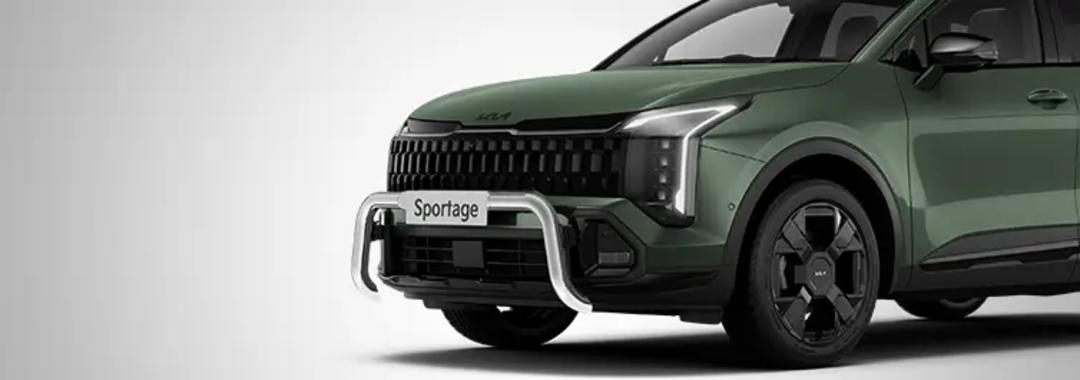 Nudge Bar - Polished (SX+ GT-Line)